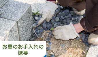 お墓のお手入れの概要