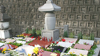 甲府フラワージュ