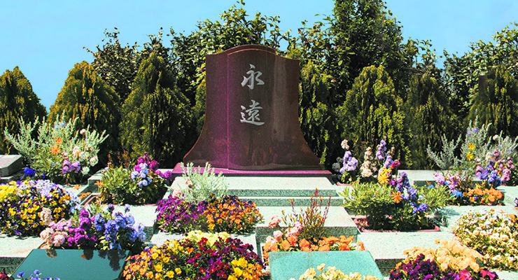 樹木葬と一般墓の違い